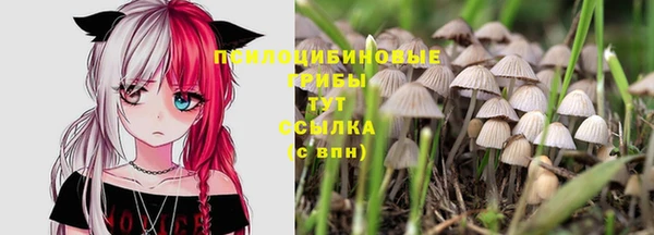гашик Балахна