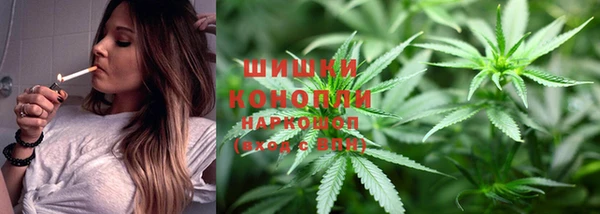 трава Снежинск