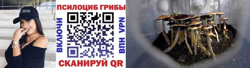 Галлюциногенные грибы GOLDEN TEACHER  Заозёрск 